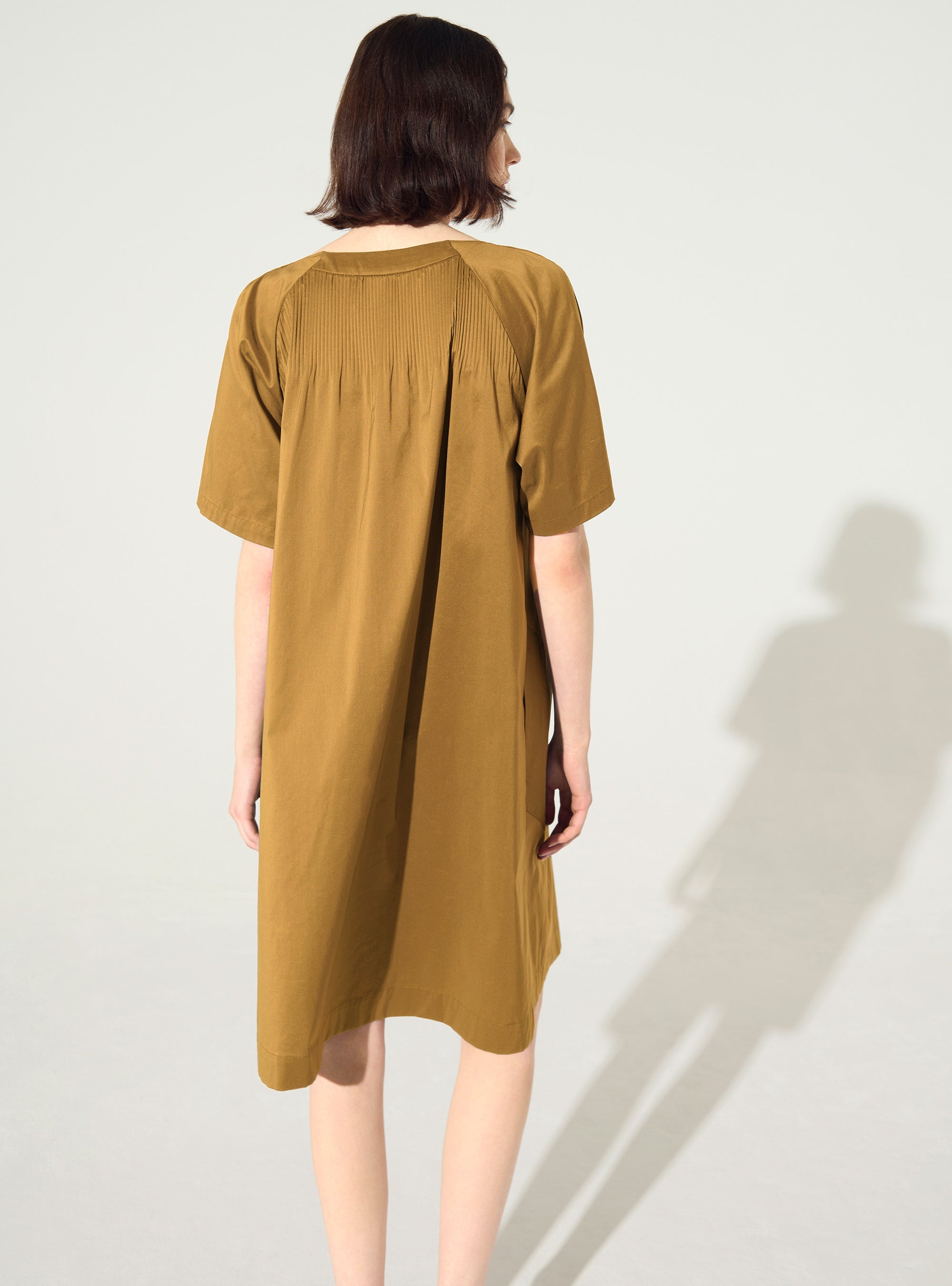 Short-sleeved pleated dress in brown cotton