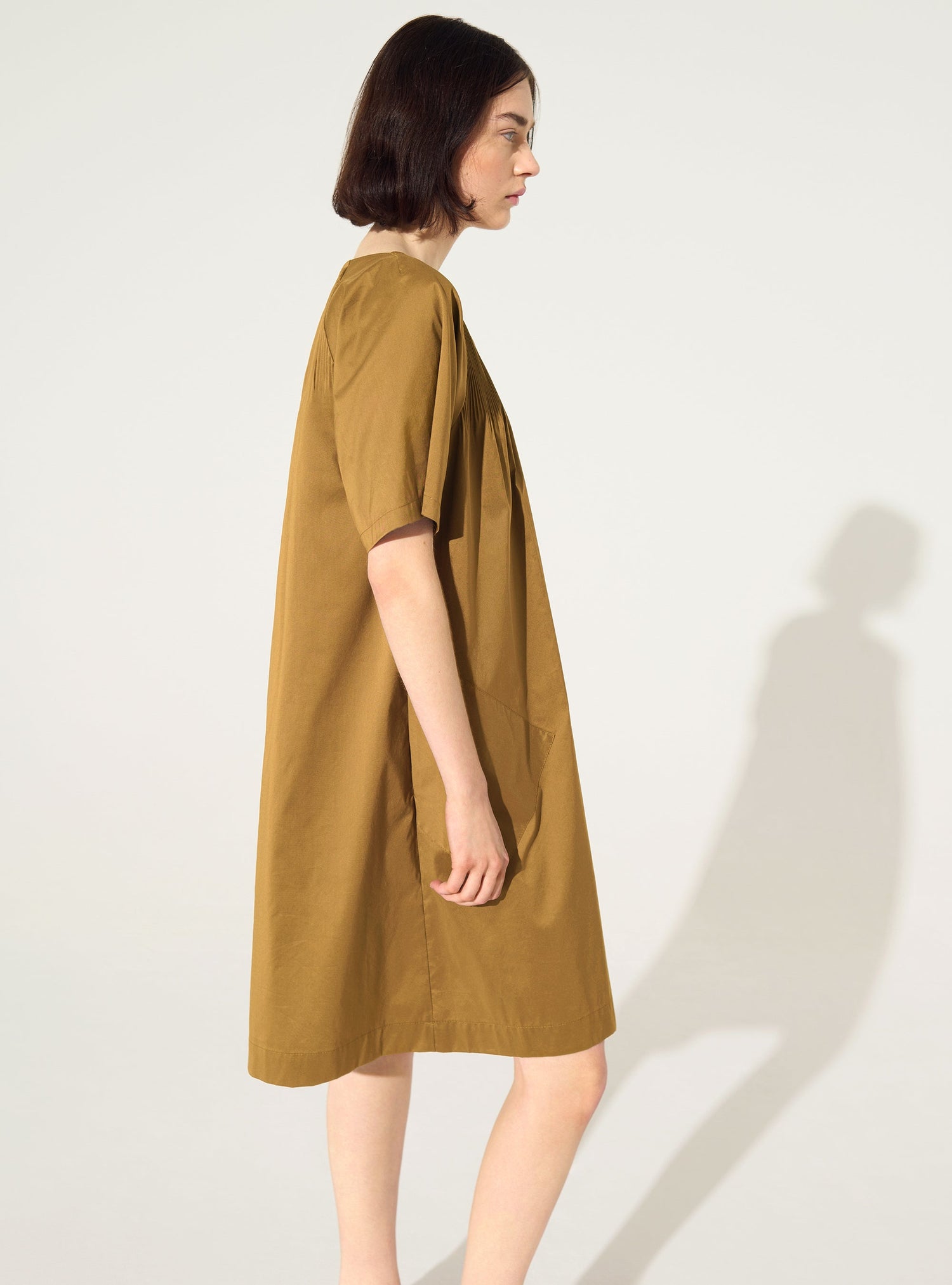 Short-sleeved pleated dress in brown cotton